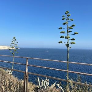 Meet your Posher, Lottie